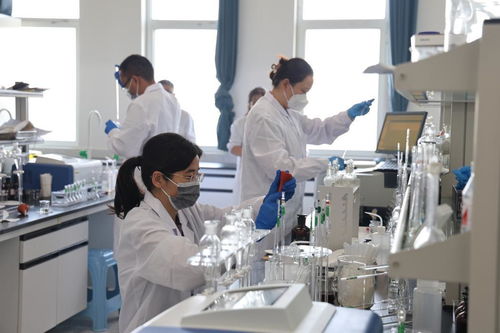 第三屆山東省生態環境監測專業技術人員大比武在濱州成功舉行，網絡技術服務保駕護航